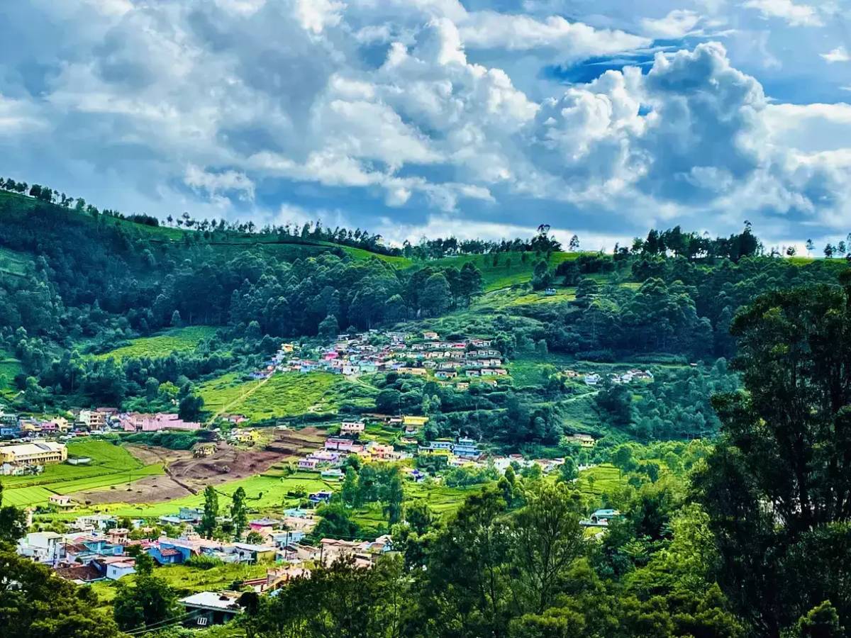 Bangalore - Mysore - Ooty
